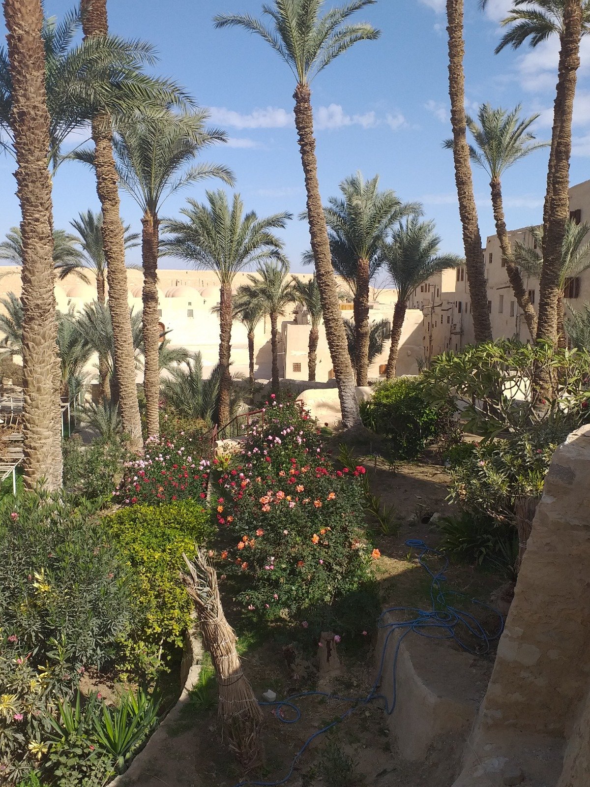 WhatsApp Image 2024-03-28 at 11.13.38 PM (1) - Copy St.Anthony's Monastery trip from Hurghada - Image 6