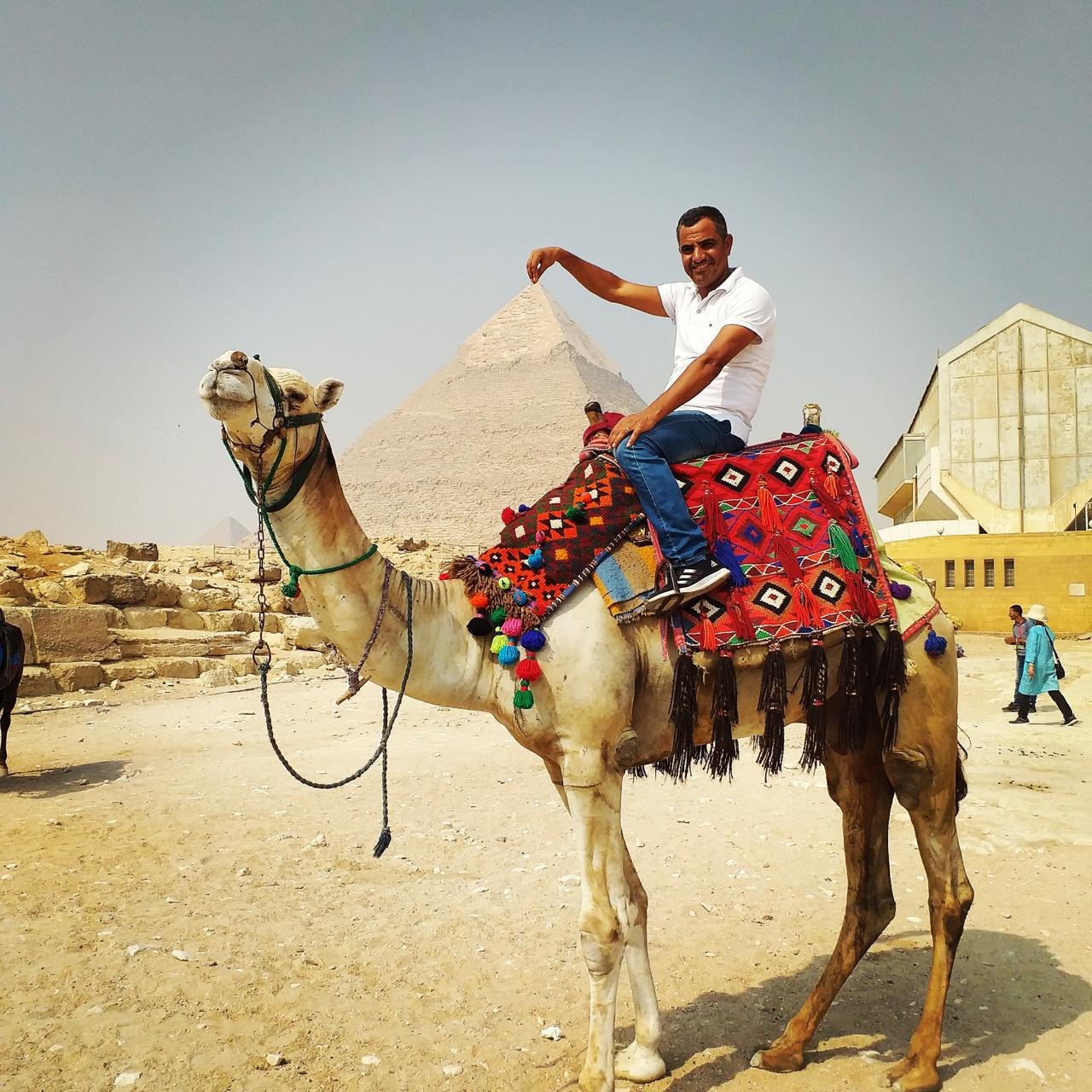 Cairo Excurions Cairo Excurions